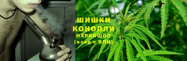 дживик Аркадак