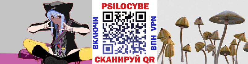 Псилоцибиновые грибы Psilocybe  Купить  Джанкой 